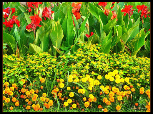 427984 (a): :1600x1200